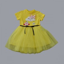 Diji Baby 1-2-3 Yaş Tül Tokalı Bulut Civciv ve Yıldız Nakışlı Kız Bebek Elbisesi