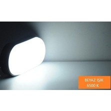 Ucuz Geldi Banyo Tavan Lambası Aydos 20W Oval Balkon Tavan Lambası 6400K Beyaz LED Işık Teras Duvar Lambası