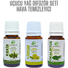 Ein Natur Uçucu Yağ Hava Temizleyici Difüzör Seti, Okaliptüs, Limon ve Kekik Uçucu Yağları