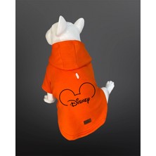 Buddy Store Kedi ve Köpek Kıyafeti - Disnep Baskılı Turuncu Kapüşonlu Sweatshirt