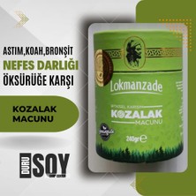 Durusoy Shop Center Lokmanzade Kozalak Macunu 240 gr