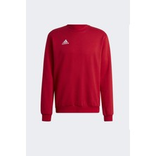 adidas Erkek ENT22 Sweat