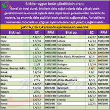 eBarakat 500 ml Ph Up/ Yükseltici + 500 ml Ph Down/düşürücü