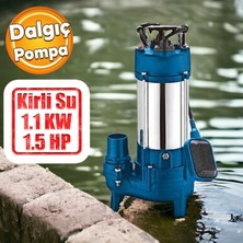 Badem10 Kirli Su Pompası 1.1 Kw Alüminyum Gövdeli Dalgıç Tip Rainpump 1.5 Hp Monofaze Atık Su Logar Lağım