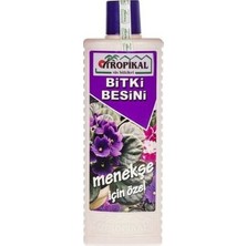 TNC Garden Groups Tropikal Besin Bitkisi 6 Adet Menekşe 1000 ml