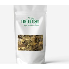 Naturdan Gimneya (Gymnema Sylvestre) Cinnema Gurmar Otu 100 gr
