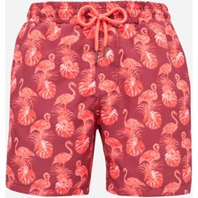 Tudors Erkek Standart Fit File Astarlı Hızlı Kuruyan Desenli Kiremit Renk Mayo Deniz Şortu