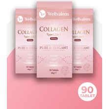 Wellvalens Güzellik Paketi 2 (Pure & Elegant Kolajen Tip 1-2-3) Üçlü Paket