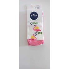 Caramell Pembe Desenli Çorap (6-12 Ay)