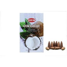 Ynt İthalat Coconut Back Flow Cones 10'lu