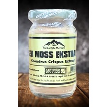 Nurbal Sea Moss Toz Ekstrak (Deniz Kadayıfı)- 50 gr