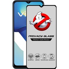 Caseart Vivo Y35 Tam Kaplayan Privacy Hayalet Temperli Ekran Koruycu Cam