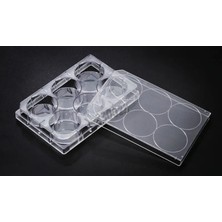 Spl Plak-Hücre Kültürü Için Düz Taban Steril 10 Adet (cell culture plate)