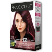 Sea Color Set Boya 4.65 Şarap Kızılı