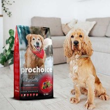 Pro Choice Adult Lamb Kuzu Etli Yetişkin Köpek Maması 12 Kg