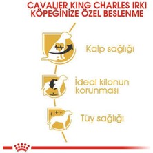 Royal Canin Cavalier King Charles Yetişkin Köpek Maması 1,5 Kg