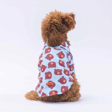 Pawstar Bear Kedi Köpek Gömleği