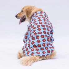 Pawstar Bear Orta ve Büyük Irk Köpek Gömleği - Köpek Kıyafeti (15 kg-45 kg)