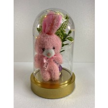Kiddy World Işıklı Pembe Peluş Ayıcık ve Çiçekli Fanus