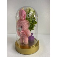 Kiddy World Işıklı Pembe Peluş Ayıcık ve Çiçekli Fanus