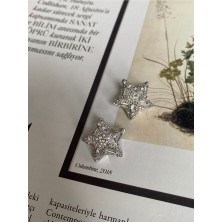 Pinery Jewels Vıp Seri - Zirkon Taşlı Yıldız Gümüş Renk Kadın Küpe Çifti