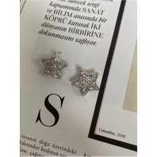 Pinery Jewels Vıp Seri - Zirkon Taşlı Yıldız Gümüş Renk Kadın Küpe Çifti