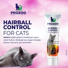 Prozoo Tüy Yumağı Önleyici Attırıcı Kedi Için Multivitaminli Malt Macun 100 ml