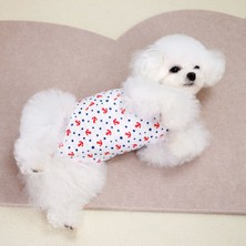 Cosy Kedi Kısırlaştırma Kıyafetleri (Yurt Dışından)