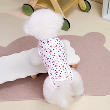 Cosy Kedi Kısırlaştırma Kıyafetleri (Yurt Dışından)