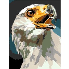 Womb Hobby Kartal Başı Sayılarla Boyama Seti 50X65 cm Tuvale Gerili