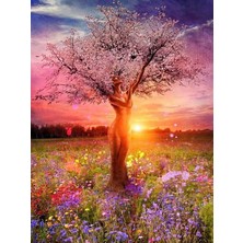 Womb Hobby Doğa Ana Sayılarla Boyama Seti 50X65 cm Tuvale Gerili