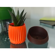 Paprika Modern Saksı - Masa ve Raflar İçin İdeal