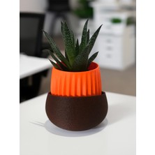 Paprika Modern Saksı - Masa ve Raflar İçin İdeal