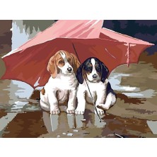 Womb Hobby Yağmurdan Kaçarken Sayılarla Boyama SETI(40X50 cm Tuval Şasesine Gerili)