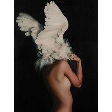 Womb Hobby Kanatlanmak Sayılarla Boyama Seti 40X50 cm (Tuvale Gerili)