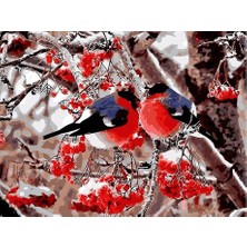 Womb Hobby Dallardaki Kuşlar Sayılarla Boyama Seti 40X50 cm (Tuvale Gerili)