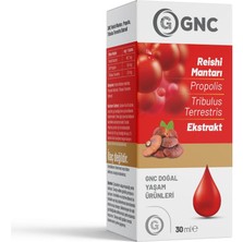 GNC Reishi Mantarı Ekstratı