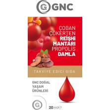 GNC Reishi Mantarı Ekstratı