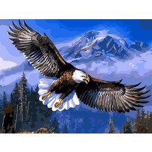 Womb Hobby Kartal Sayılarla Boyama Seti 60X75 cm (Tuvale Gerili)