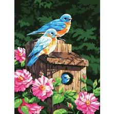 Womb Hobby Kuş Yuvası Sayılarla Boyama Seti  (Tuvale Gerili)