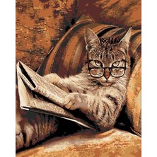 Womb Hobby Emekli Tekir Sayılarla Boyama Seti 80X100 cm (Tuvale Gerili)