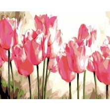 Womb Hobby Pembe Laleler Sayılarla Boyama Seti  (Tuvale Gerili)