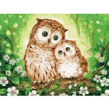 Womb Hobby Şirin Baykuşlar Sayılarla Boyama Seti  (Tuvale Gerili)