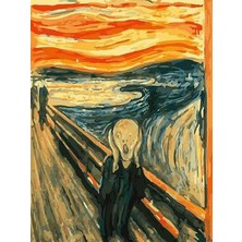 Womb Hobby Çığlık Sayılarla Boyama Seti  (Tuvale Gerili)