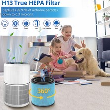 Zeeful AP0601 Aırto Için Hava Temizleme Cihazı Yedek Filtre, 4 Aşamalı H13 Gerçek Hepa Filtre, AP0601-RF Filtreler 2 Paket (Yurt Dışından)