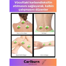Carlburn Premium Series Selülit Çatlak Giderici Vakumlu Masaj Aleti 24'Lü Kupa Hacamat Seti