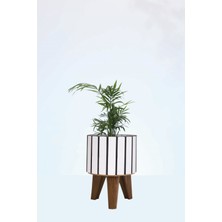 Hakan Mobilya Beyaz Modern Kahverengi  Ayaklı Yuvarlak Büyük Saksı Dekoratif Çiçeklik Balkon Bahçe Ofis Salon Aksesuarı