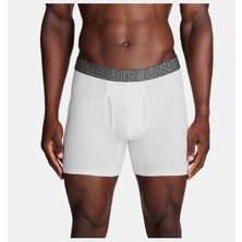 Under Armour Erkek UA Performance Cotton 6" 3'lü Boxer
