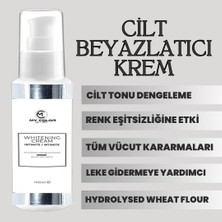 My Color Cilt  Leke ve Kararma Karşıtı  KREM 100 ml