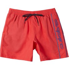 Quiksilver Everyday Vert 16 Erkek Volley Şort